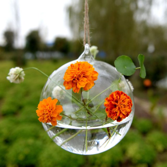 Glass Drop Shaped Hanging Florarium